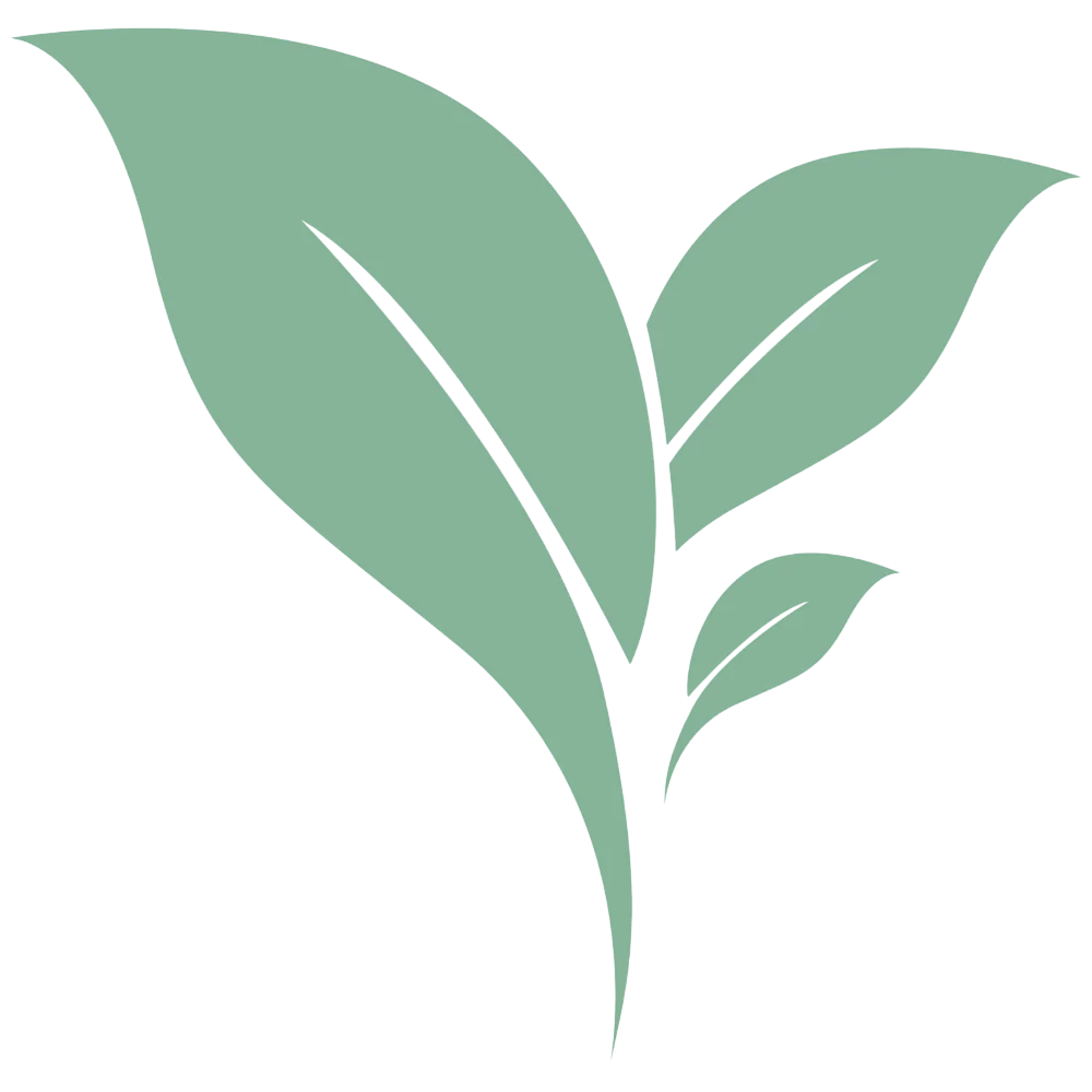 Eclosion Formations