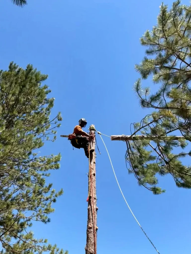 Techniques de démontage en sécurité