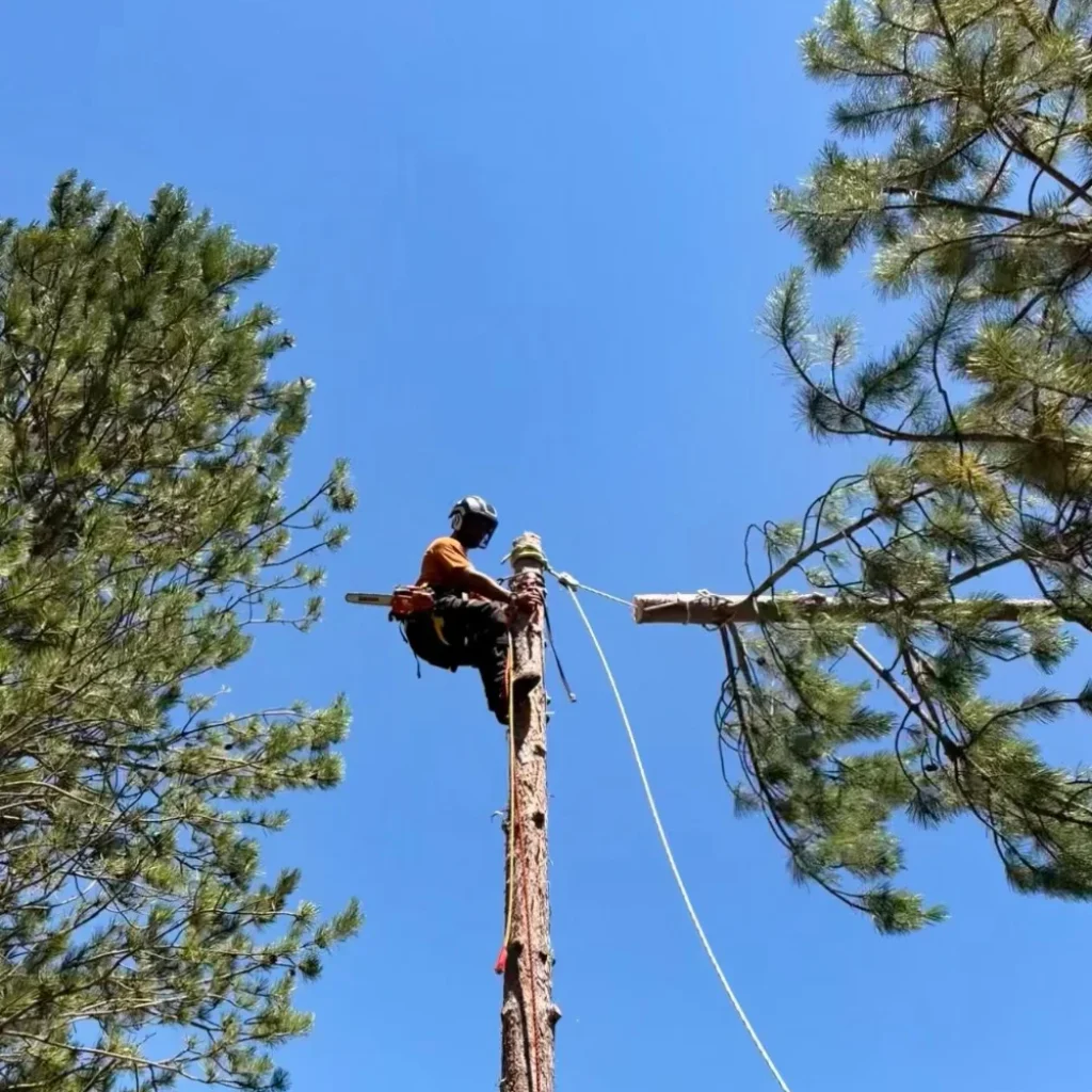Techniques de démontage en sécurité